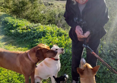 Retreat at Groenfontein pet friendly